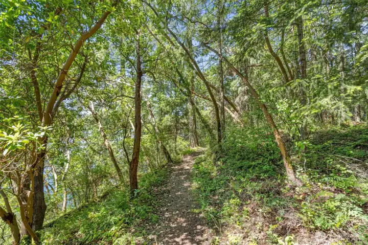community walking trail.