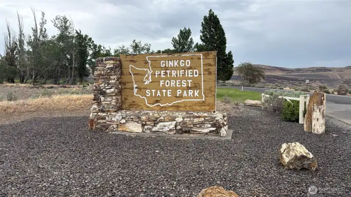 Nearby Amenities: Ginko Petrified Forest Sightseeing