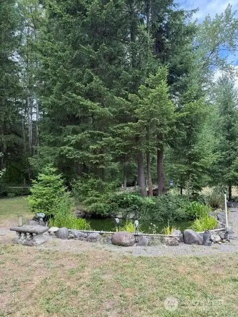 Pond