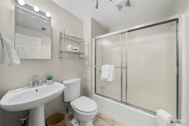 Lower level full bathroom