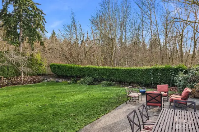 A Rare, flat, huge, kickball-sized 15,000 S.F. private lot, and great outdoor space.