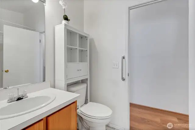 This is the main hall bath which also has a tub/shower combo not seen here.