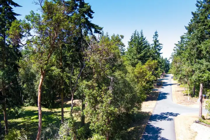 Grant street looking North