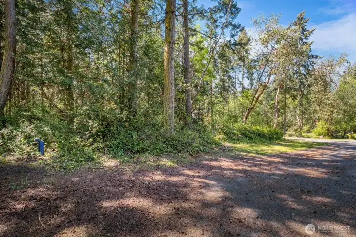 Lots of light and privacy.