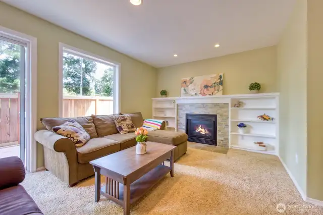 Another gas fireplace.