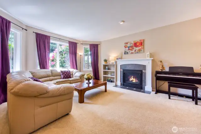 Cozy gas fireplace in living room.