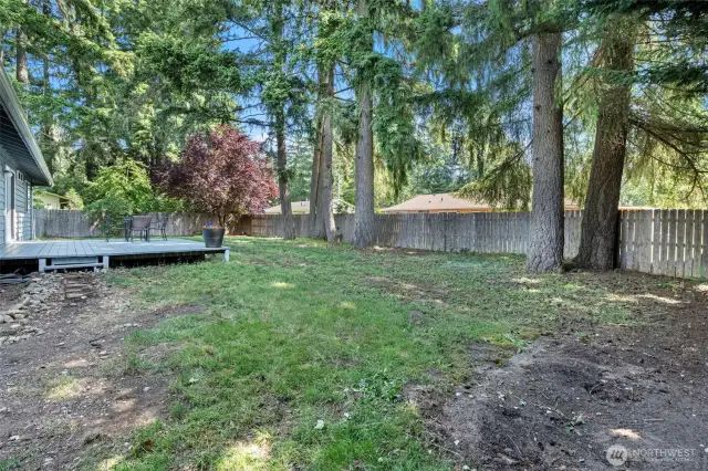 Quiet and cool backyard