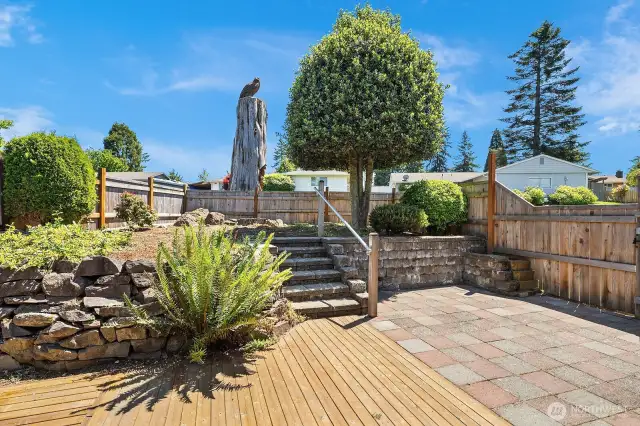 Open Deck Area