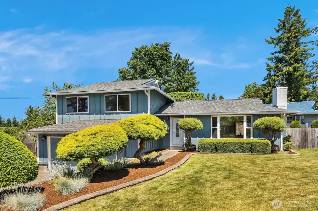 Mature Landscaping