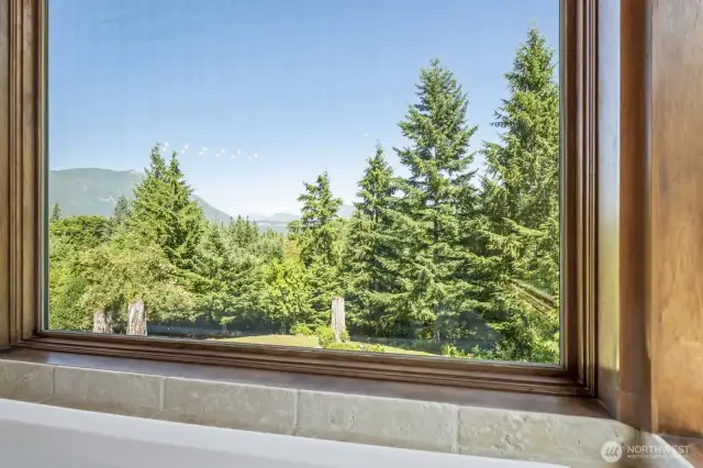 Soak in the views—literally. Enjoy breathtaking Mount Si & Cascade vistas right from the tub, just one of many stunning outlooks featured throughout this unforgettable home and property.