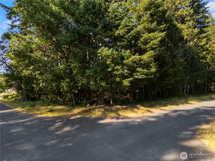 Step out your front door and take a walk along the popular Seaview Drive walking route.