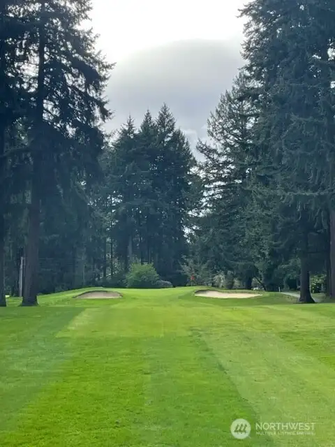 Come experience Island golf.