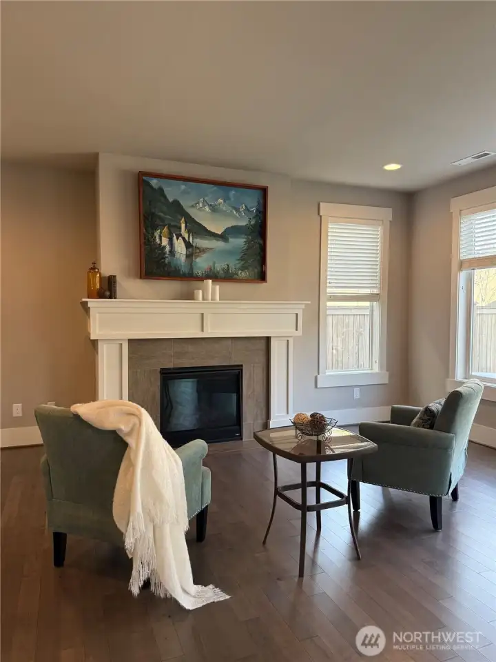 Ornate fireplace in downstairs family room