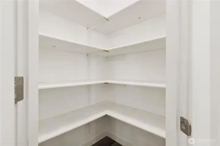 Walk-in Kitchen Pantry