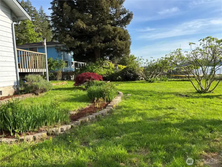 Front Yard