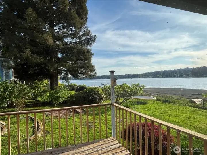Front Yard 3
