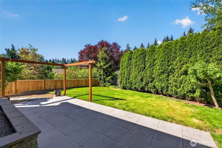 The expansive concrete paver patio extends along the back of the home, flanked by a generous lawn and anchored by the cedar pergola for filtered shade on warm summer afternoons. A raised stone planter wall and the towering evergreen hedge create complete privacy, making the backyard feel like a true outdoor extension of the living space.