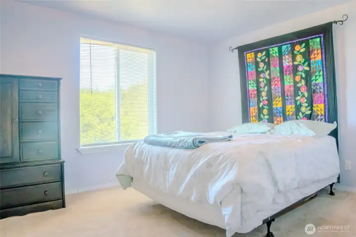 2nd downstairs bedroom