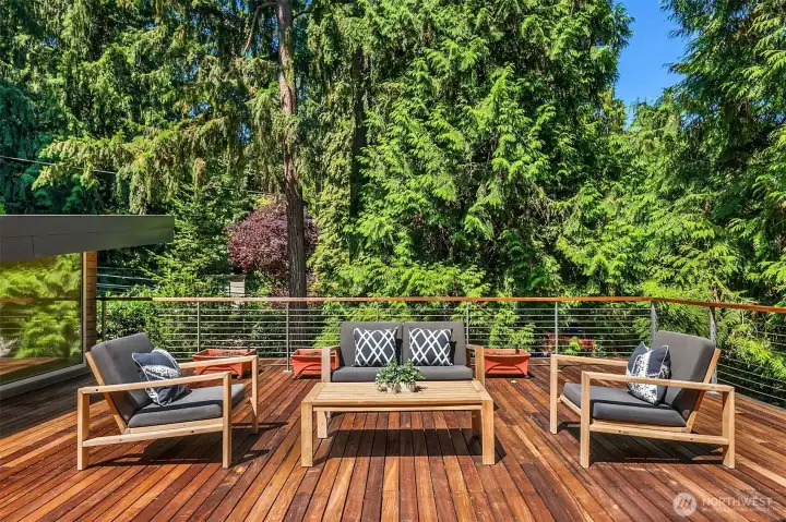 The roof deck sits at canopy level, with cable railing, built-in planter boxes, and room for a full lounge setup among the firs and cedars.