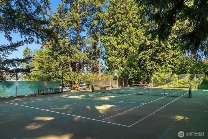 Pickleball courts