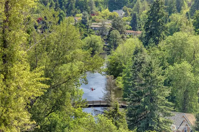 Sammamish River viewed from rooftop deck (photos of lot34, same floorplan)
