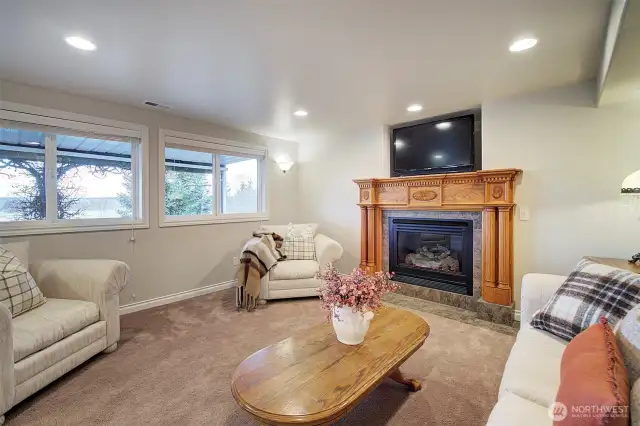Basement living area