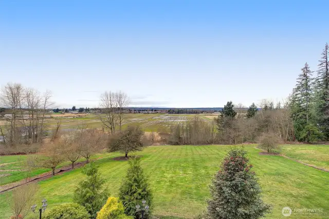 Endless possibilities for this huge backyard