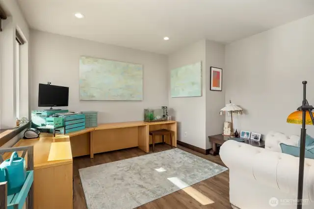 Lower Level Bedroom/Office with Views