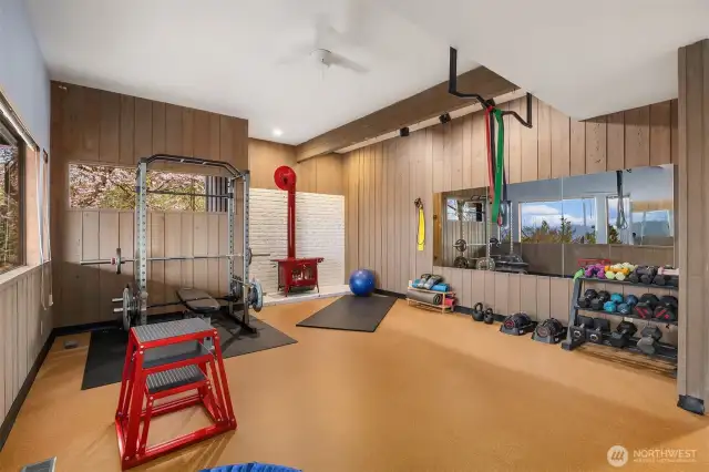 Lower level exercise room is also usable as a conforming bedroom (with a closet and egress windows).