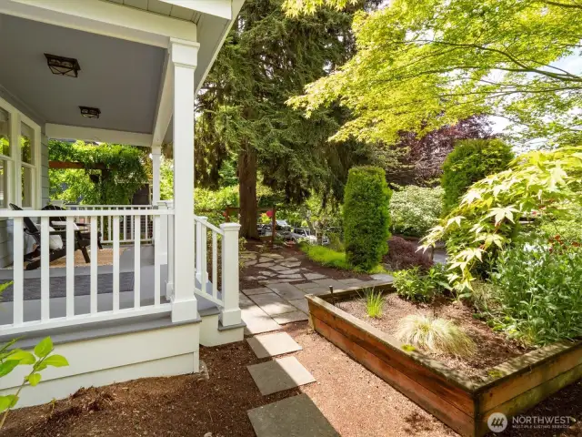 Front yard with established plants, Maple tree and planter box.