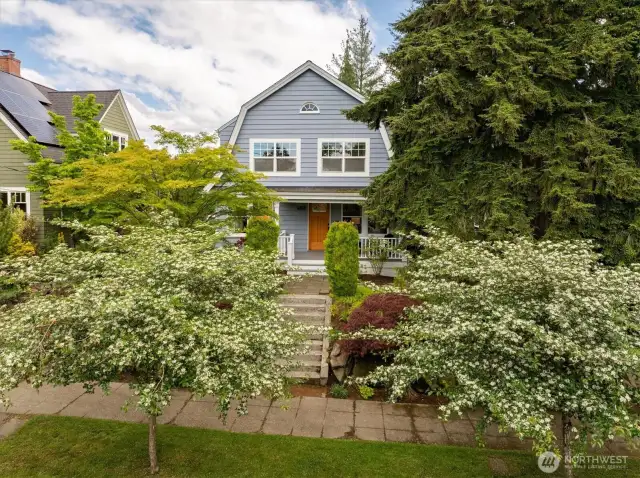 Classic tree-lined Ravenna neighborhood.