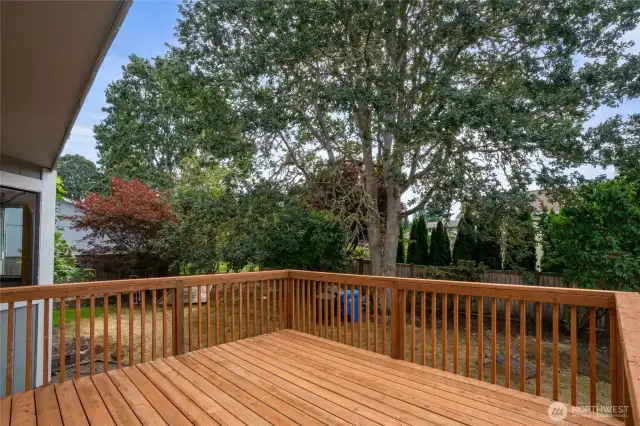 Brand New deck on the back.