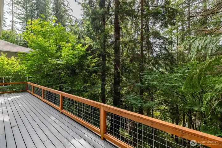 house length new deck and railing with "tree house" privacy