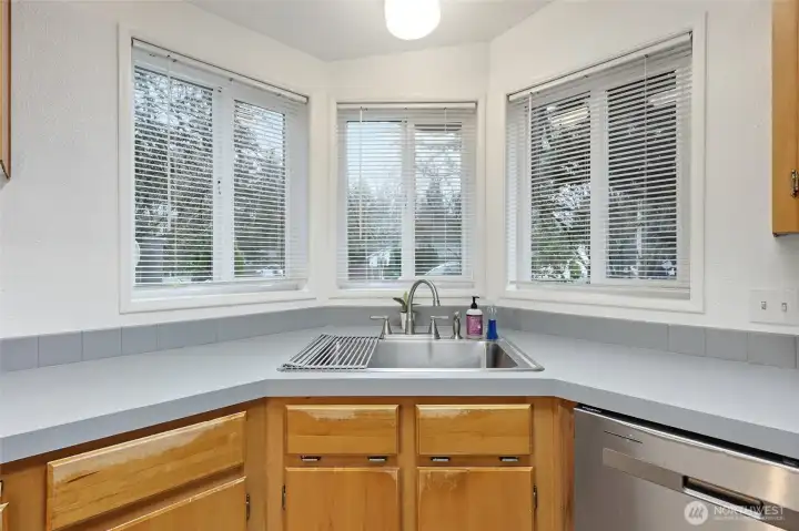 Newer stainless steel sink and faucet with lots of natural light in the kitchen.