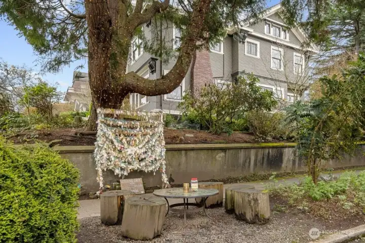 The Wishing Tree! A labor of love and a neighborhood treasure.