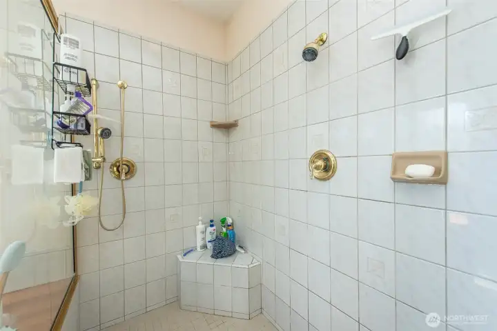 Primary Shower with Dual Showerheads