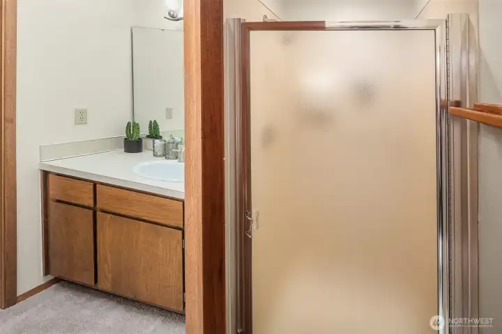 Main floor primary shower and vanity.