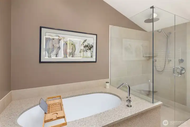 Primary soaking tub and shower Primary soaking tub and shower
