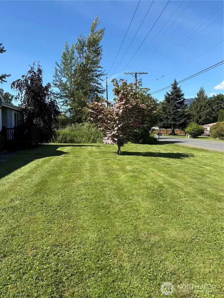 east side of lot