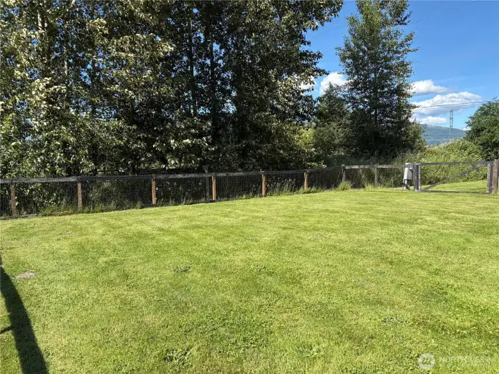 northeast corner of property
