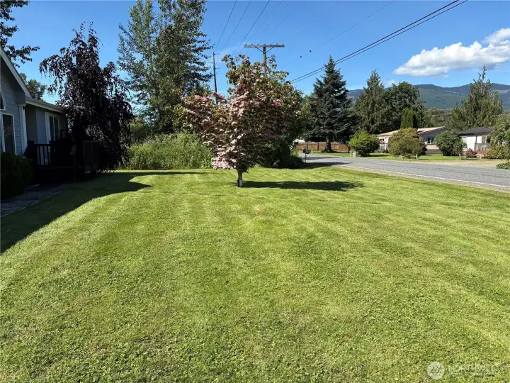 east side of lot bordering Fruitdale Road