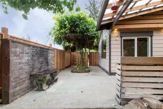 firepit and side yard