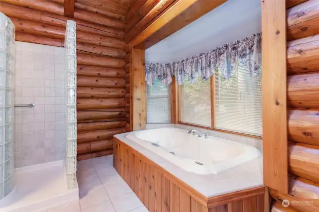Primary Bath View 2