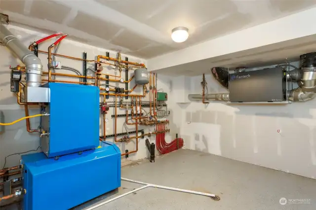 Mechanical Room Downstairs