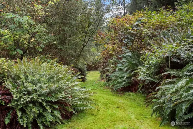 Well-groomed trail leads to the River