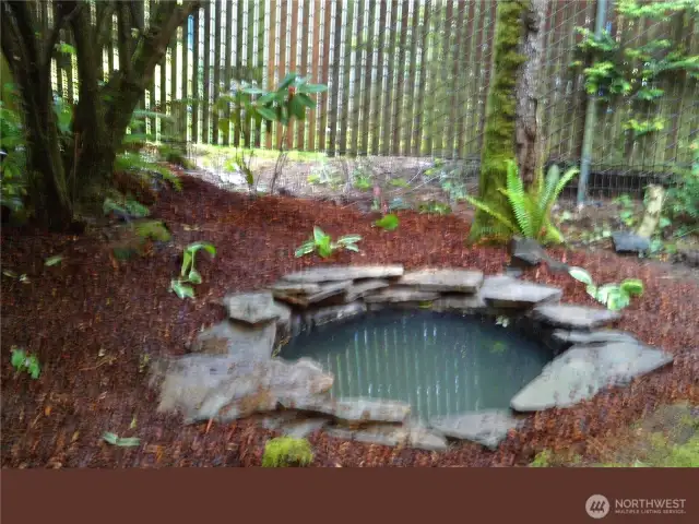 Shade pond