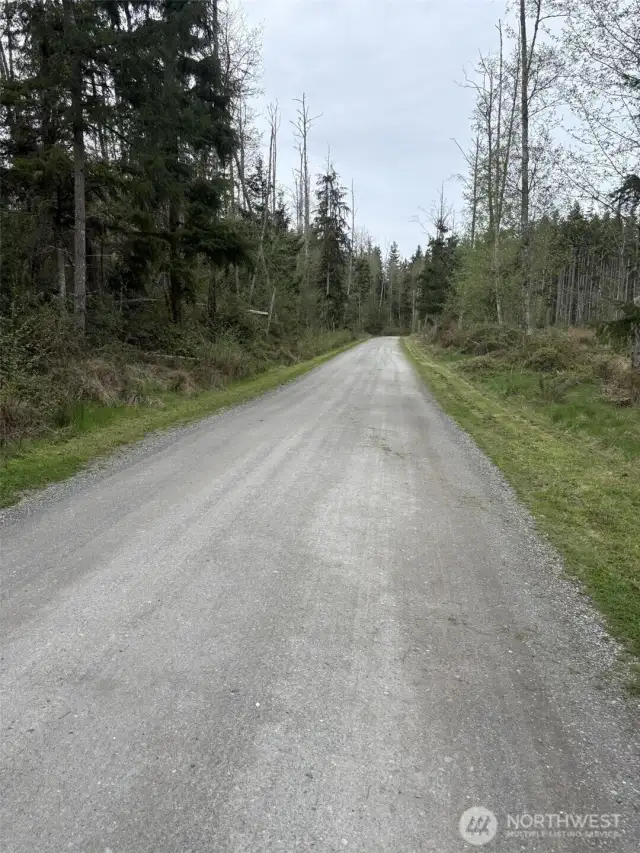 Foxglove Hollow headed north