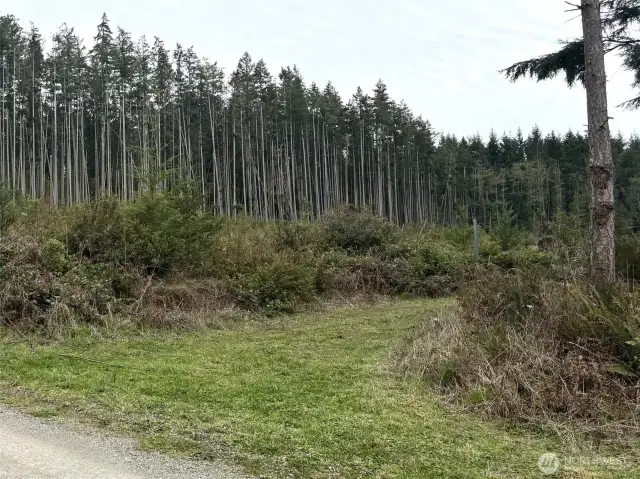 Entrance off of Foxglove Hollow on the north