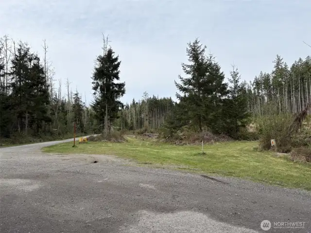Corner - Evergreen and Foxglove Hollow