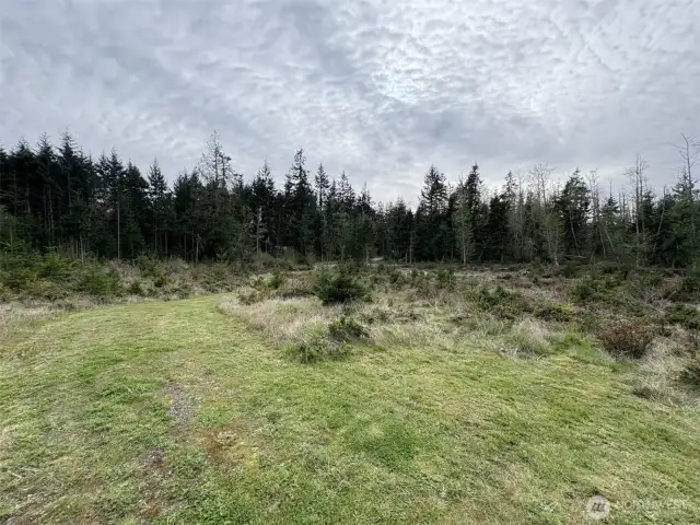 Looking back down the drive